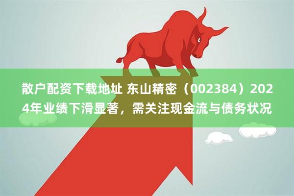 散户配资下载地址 东山精密（002384）2024年业绩下滑显著，需关注现金流与债务状况