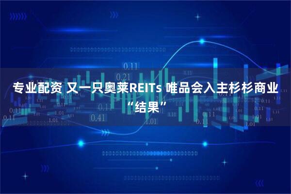 专业配资 又一只奥莱REITs 唯品会入主杉杉商业“结果”