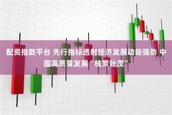 配资指数平台 先行指标透射经济发展动能强劲 中国高质量发展“枝繁叶茂”