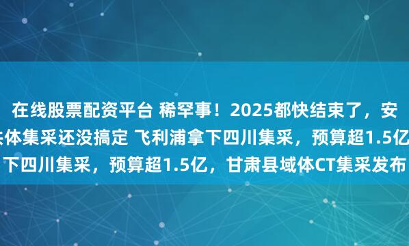 在线股票配资平台 稀罕事！2025都快结束了，安徽2024紧密型县域医共体集采还没搞定 飞利浦拿下四川集采，预算超1.5亿，甘肃县域体CT集采发布
