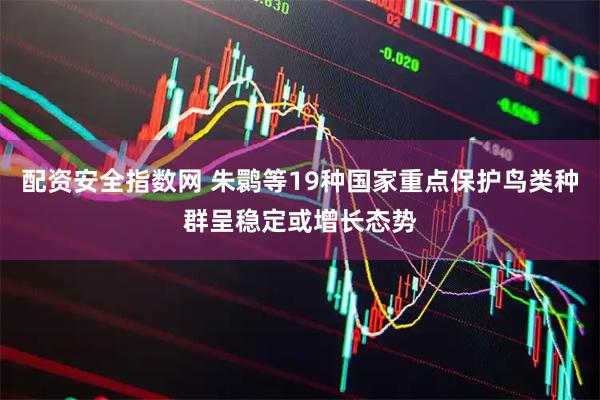 配资安全指数网 朱鹮等19种国家重点保护鸟类种群呈稳定或增长态势